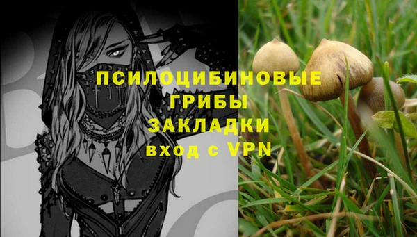 эйфоретик Алзамай