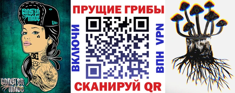 купить наркоту  Копейск  Псилоцибиновые грибы Cubensis 